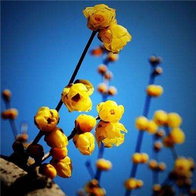 南宫体育app下载安装手机app下载