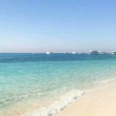 皇冠新体育app下载手机版