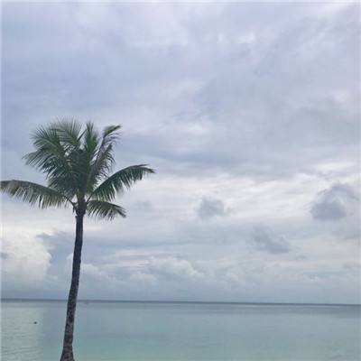 bb平台体育下载