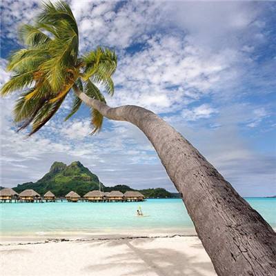 鸭脖app下载下载手机版