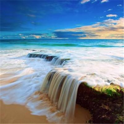 天博体育官网下载入口