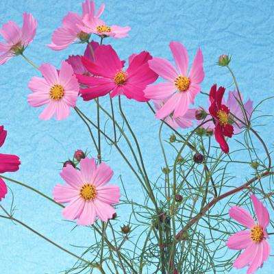 半岛综合体育·官方网站