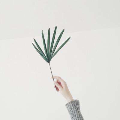 永乐国际下载手机版